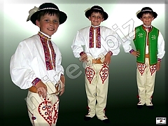 Folklore cotton shirt decorated