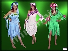 Fairies Fairies