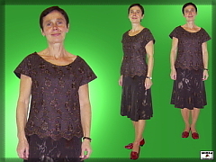 Ladies' formal blouse Ladies' formal blouse