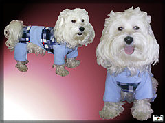 Fleece clothes for dog