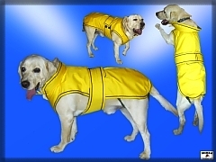 Goratexový kabátik pre psa, podšitý flisom