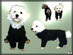 Fleece jacket for dogs