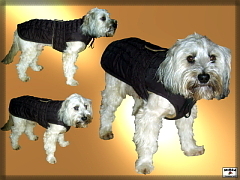 Prešívaný zimný kabátik pre psa