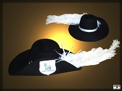 Promotional hat