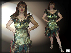 Ladies' fairy dress