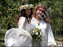 wedding dresses wedding dresses