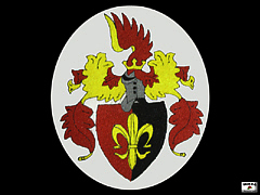 Embroidered_crest of Jago - detail Embroidered_crest of Jago - detail