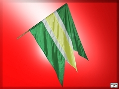 DOBRÁ NIVA - zástava obce DOBRÁ NIVA