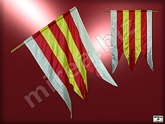 City flag City flag