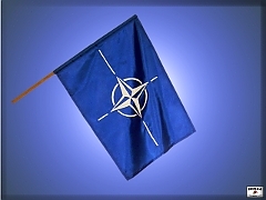 Flag of NATO nato