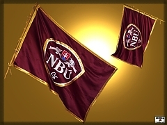NBU - institutions flag NBU